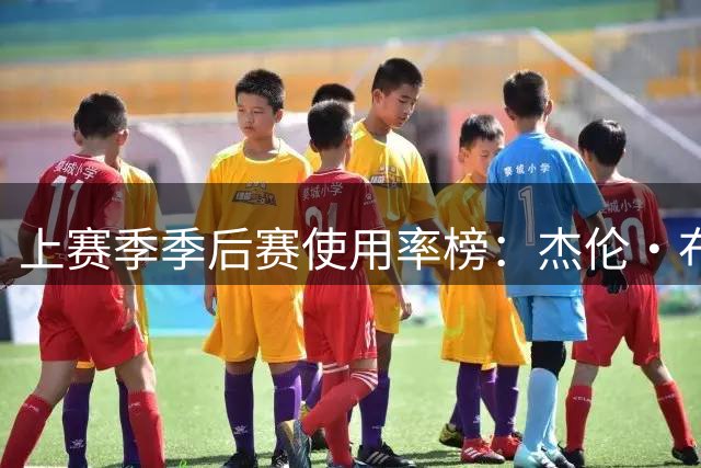 上赛季季后赛使用率榜：杰伦·布朗和恩比德并列第一 詹姆斯第九