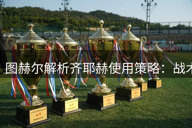 图赫尔解析齐耶赫使用策略：战术适配是关键