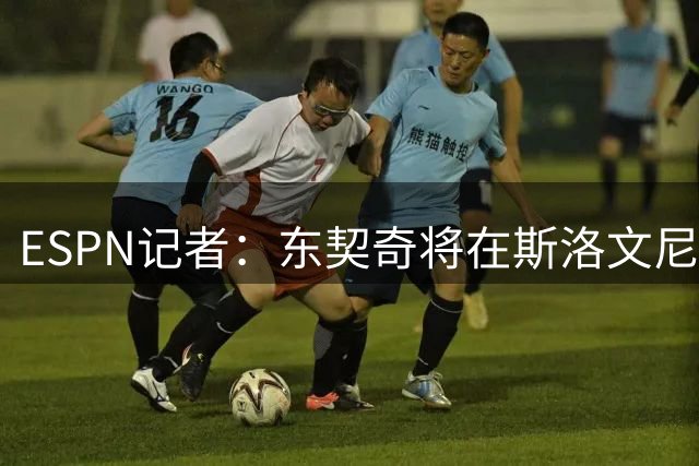 ESPN记者：东契奇将在斯洛文尼亚举办4天迷你训练营 湖人全队参加